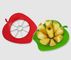 Fruit/apple cutter supplier