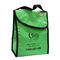 Lunch coller bag / cooling lunch bag supplier